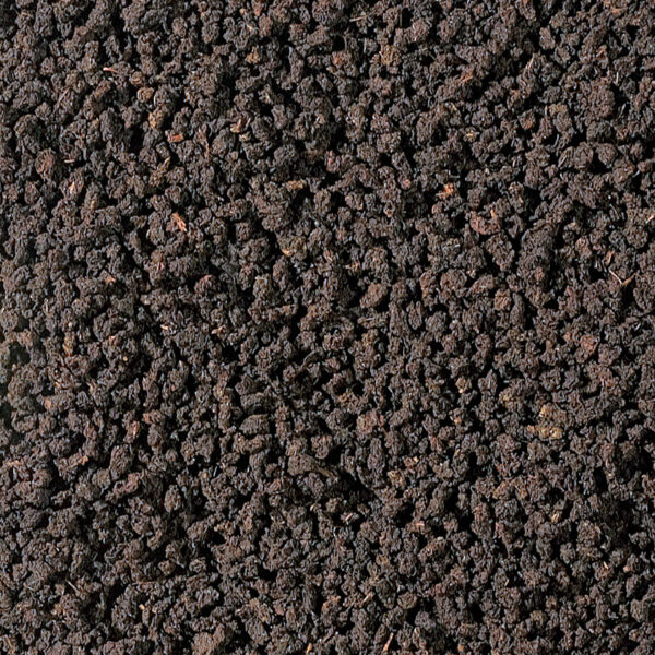 Assam Bogidhola CTC