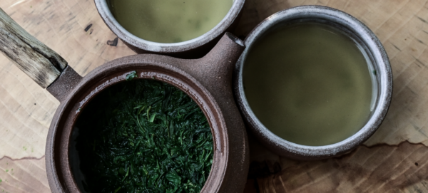Gyokuro, Wazuka, Kyoto - Japan - Image 2