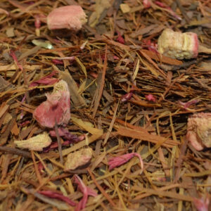 Lapacho Rhubarb