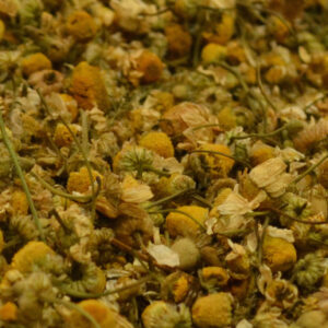 Camomile Blossoms