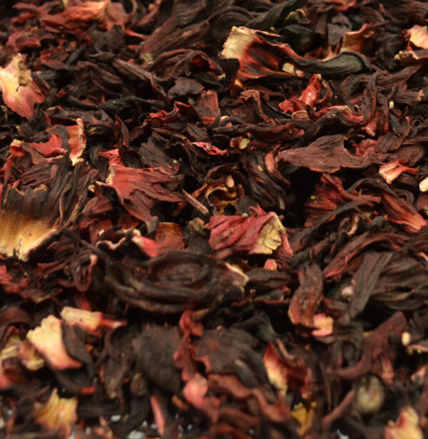 Hibiscus Blossoms