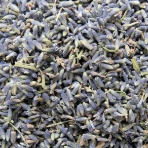 French Lavender