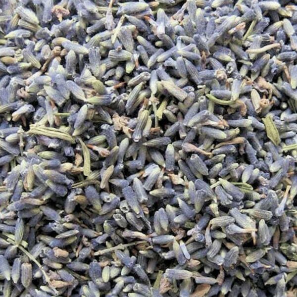 French Lavender