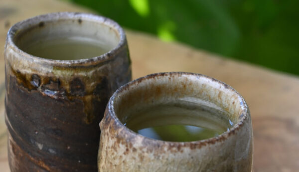 Gyokuro, Wazuka, Kyoto - Japan - Image 3