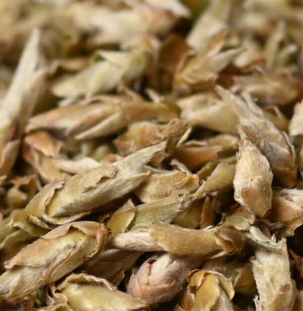 Yo Bao, Silver Bud White Tea - Image 2