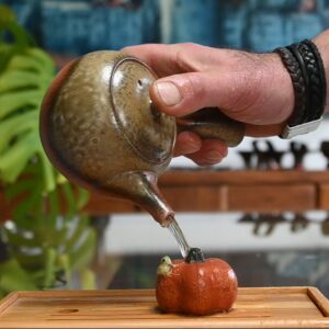Frog on Pumpkin - Tea Pet