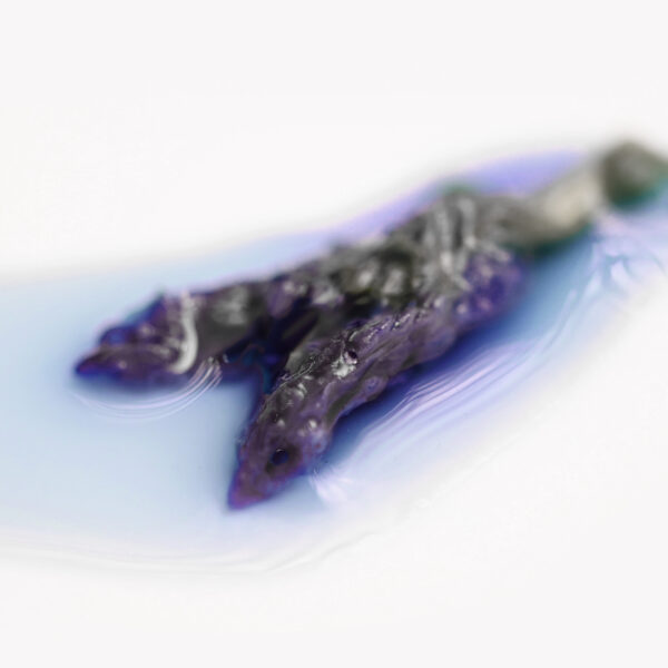Butterfly Pea Flower - Image 4