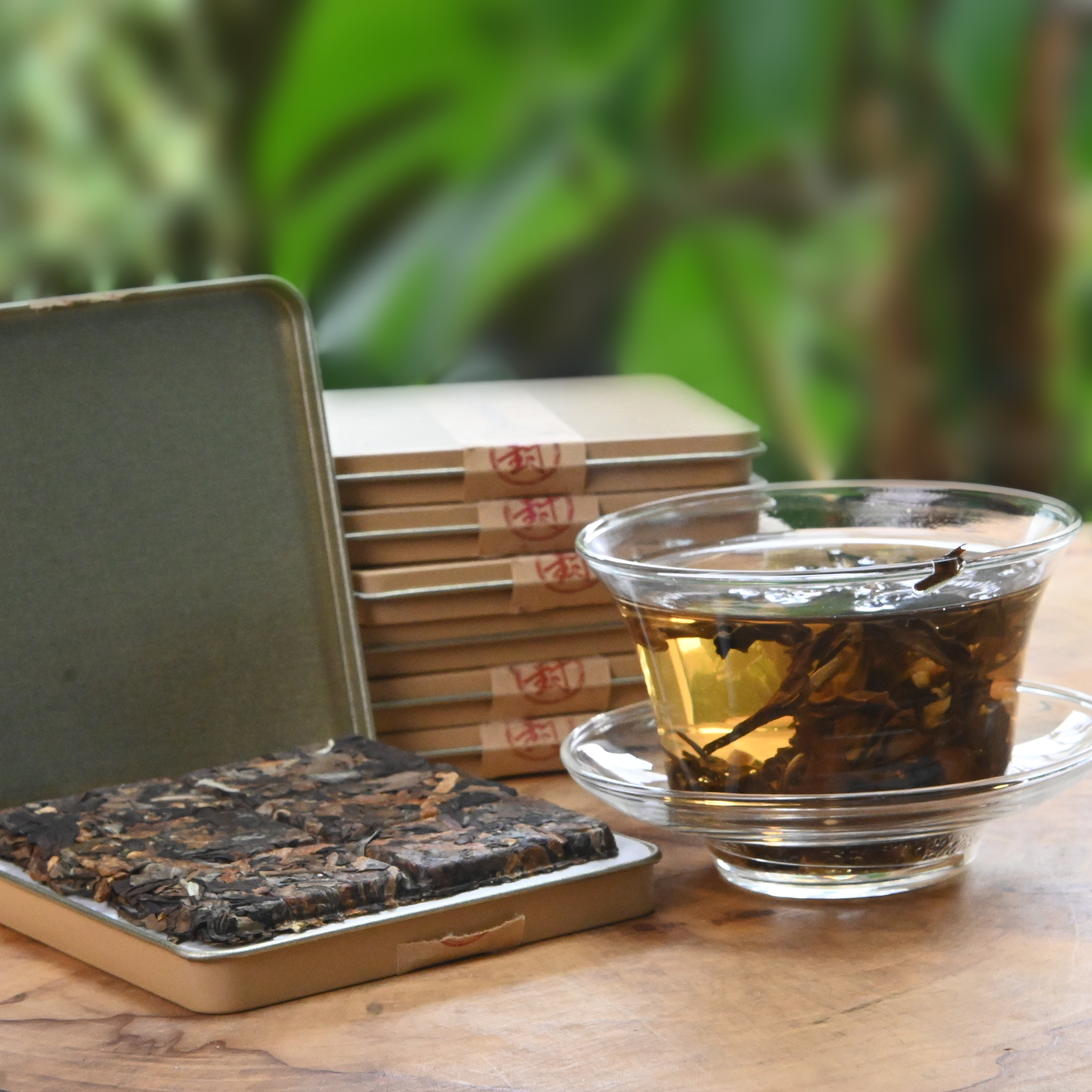 Tangerine White Tea, Chénpí Báichá.
